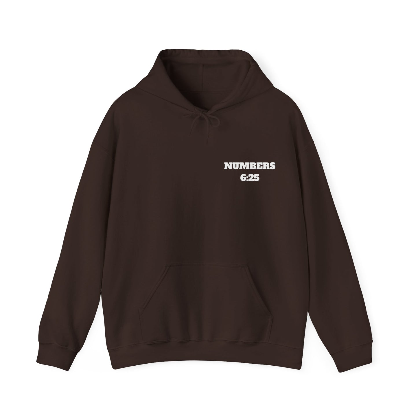 Numbers 6:25 Christian Hoodie, Christian Gifts, Christian Back To School Gifts, Trendy Christian Apparel