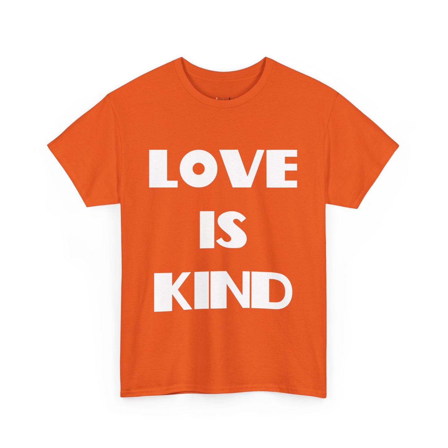 Love Is Kind Christian T-Shirt, Christian Gifts, Christian Back To School Gifts, Trendy Christian Apparel