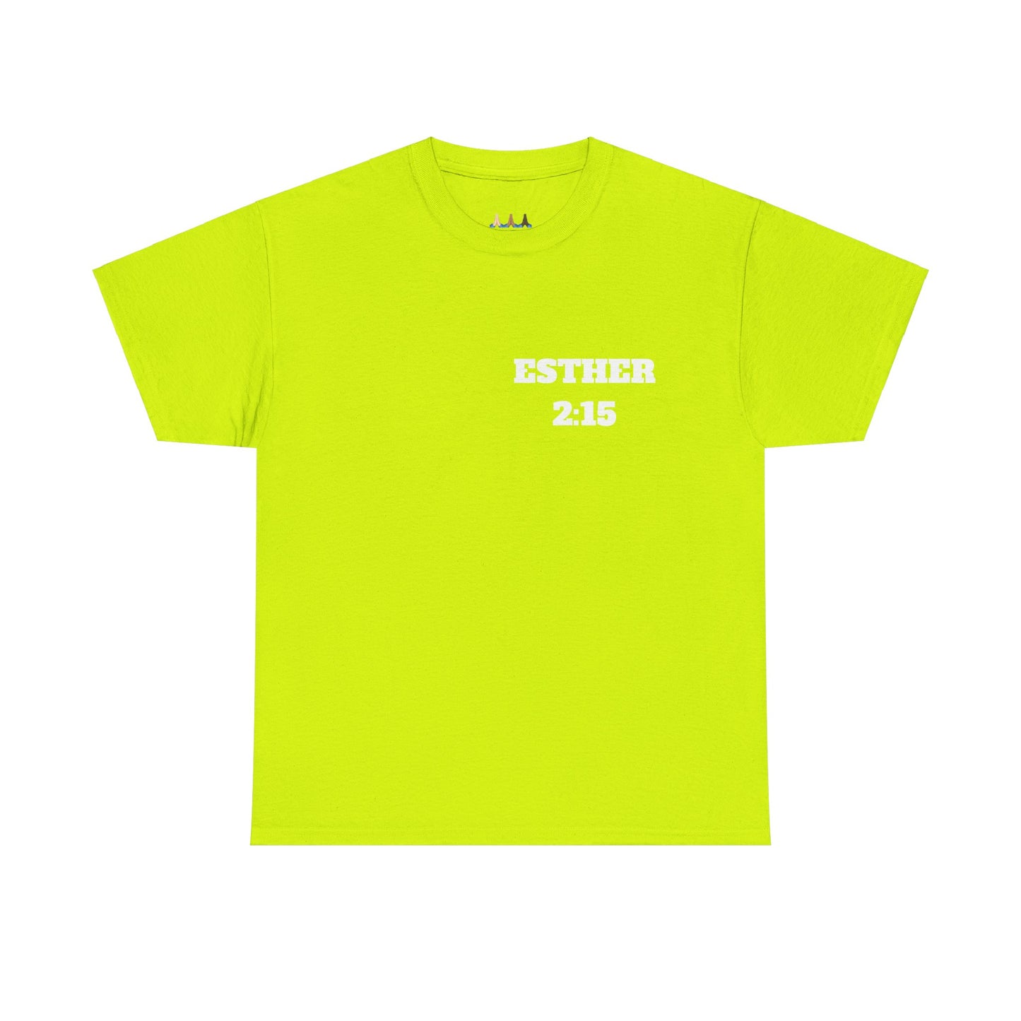 Esther 2:15 Christian T-Shirt, Christian Gifts, Christian Back To School Gifts, Trendy Christian Apparel