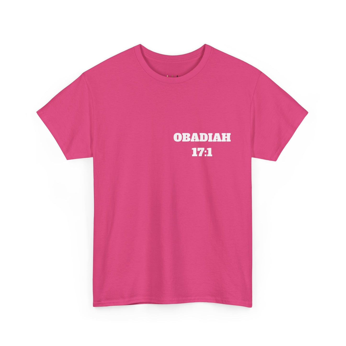 Obadiah 17:1 Christian T-Shirt, Christian Gifts, Christian Back To School Gifts, Trendy Christian Apparel