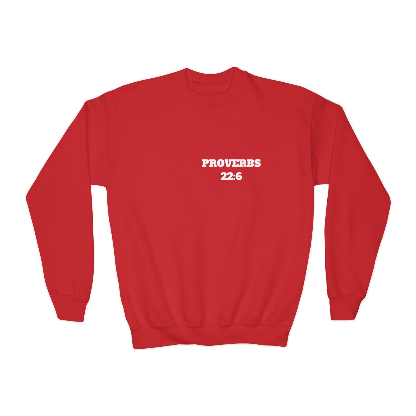Proverbs 22:6 - Christian Kids Clothing, Kids Christian Shirt, Christian Sweatshirt, Christian Hoodie, Kids Church Shirts, Kids Bible Shirts