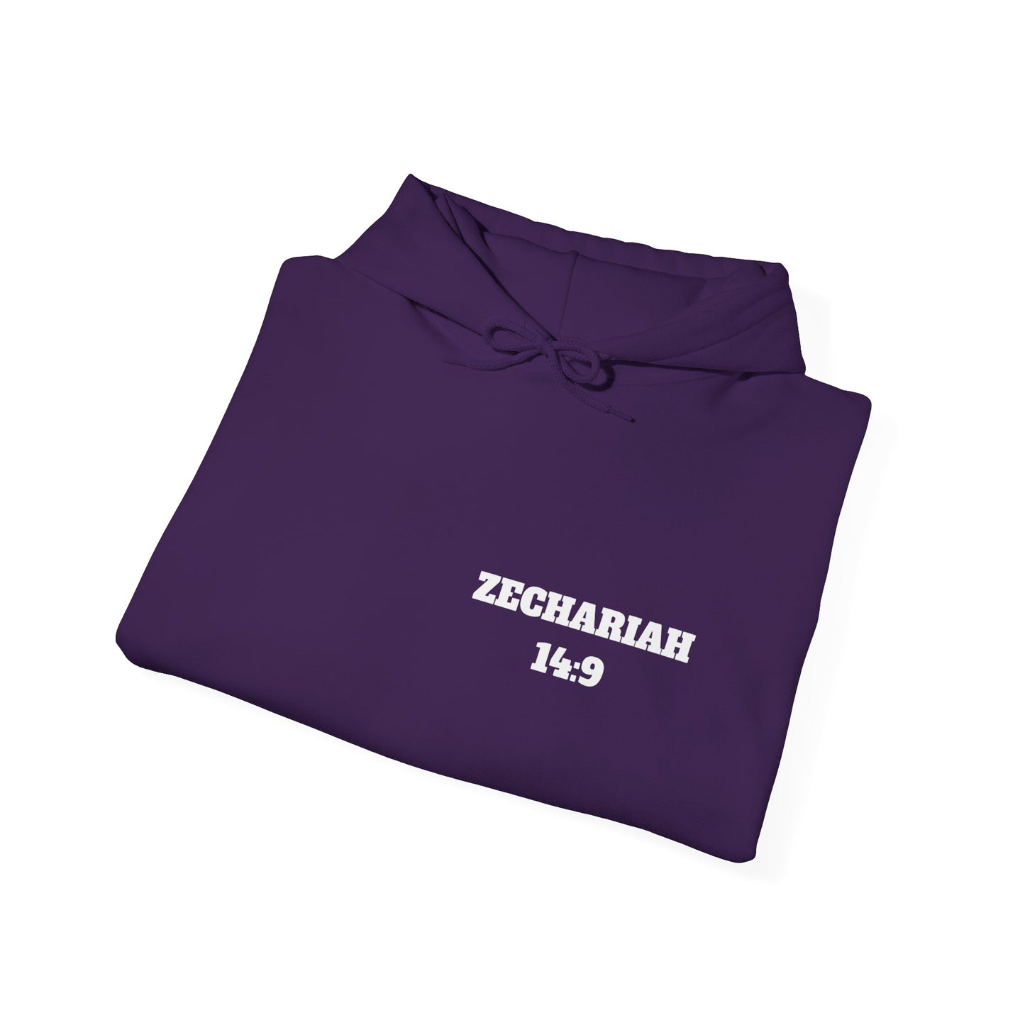 Zechariah 14:9 Christian Hoodie, Christian Gifts, Christian Back To School Gifts, Trendy Christian Apparel
