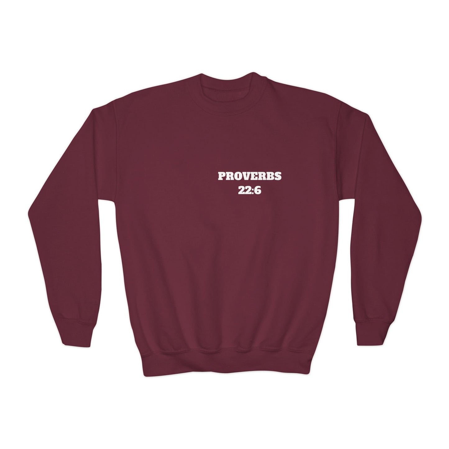 Proverbs 22:6 - Christian Kids Clothing, Kids Christian Shirt, Christian Sweatshirt, Christian Hoodie, Kids Church Shirts, Kids Bible Shirts