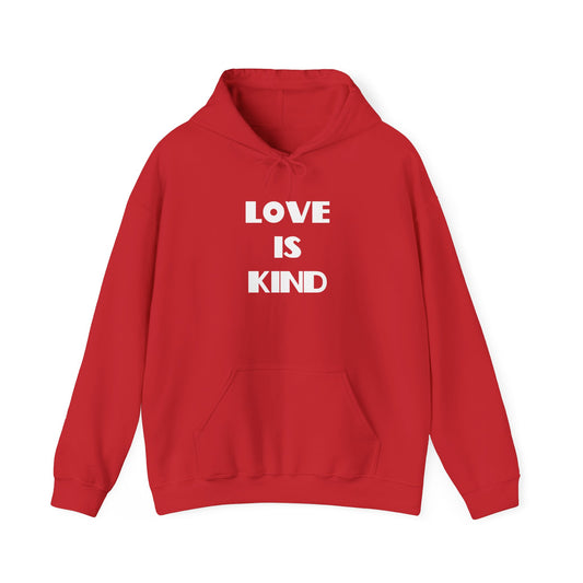 Love is Kind Christian Hoodie, Christian Gifts, Christian Back To School Gifts, Trendy Christian Apparel