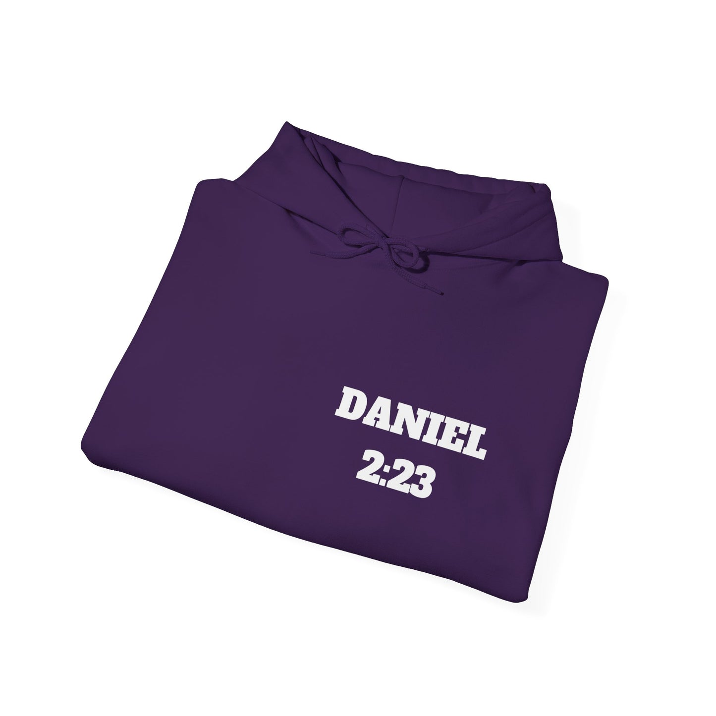 Daniel 2:23 Christian Hoodie, Christian Gifts, Christian Back To School Gifts, Trendy Christian Apparel