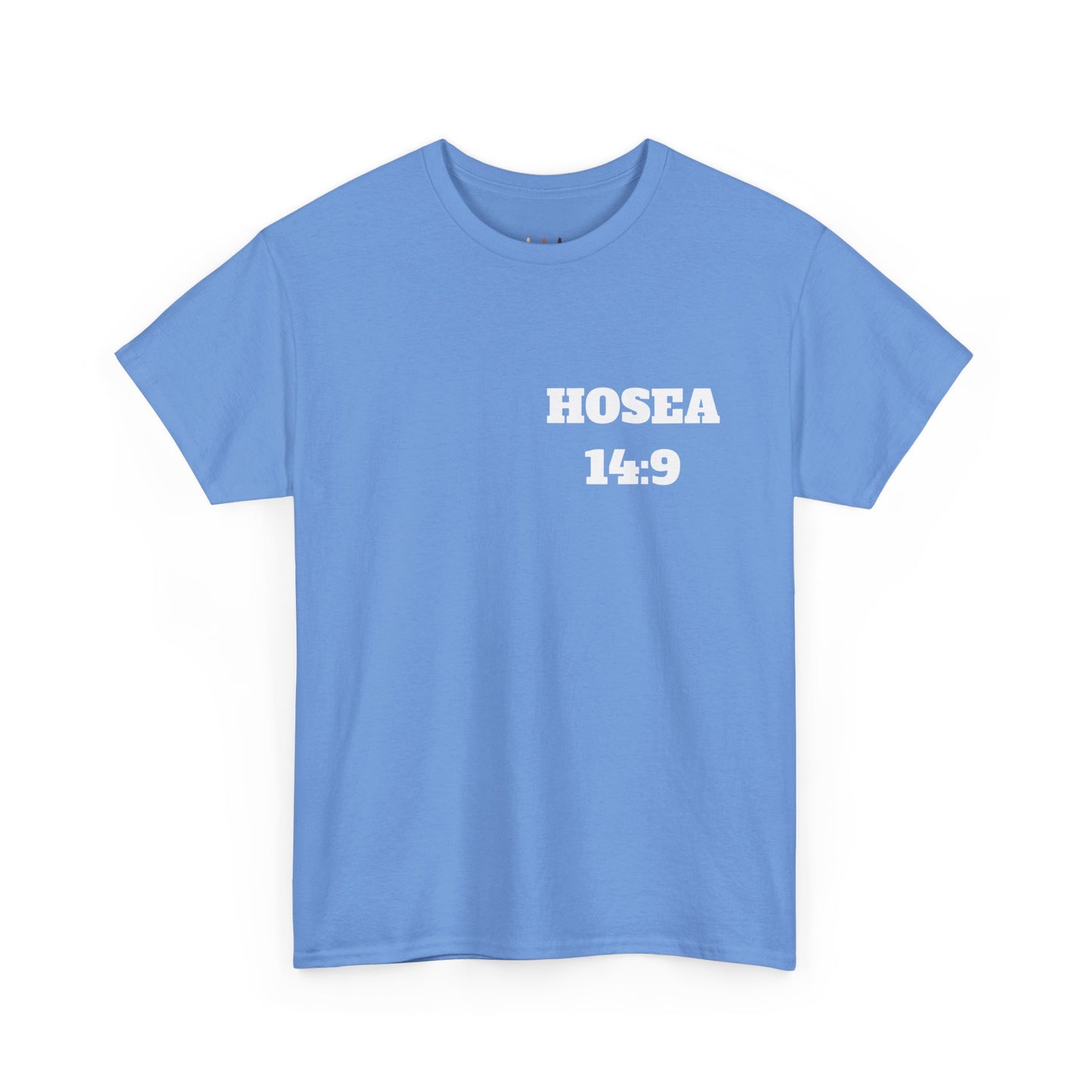 Hosea 14:9 Christian T-Shirt, Christian Gifts, Christian Back To School Gifts, Trendy Christian Apparel