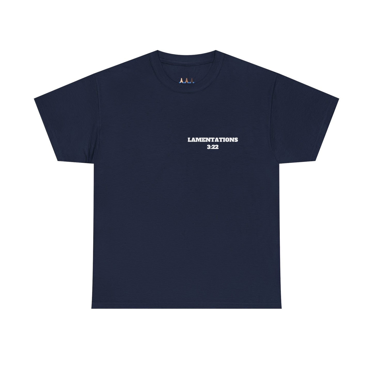 Lamentations 3:22 Christian T-Shirt, Christian Gifts, Christian Back To School Gifts, Trendy Christian Apparel