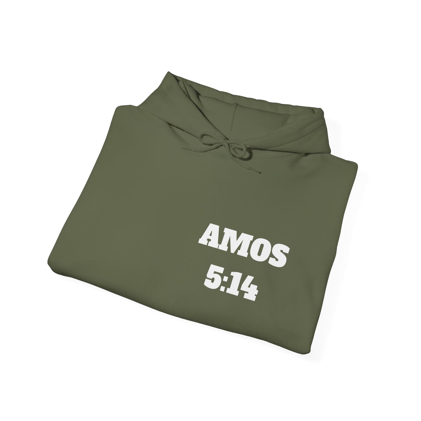 Amos 5:14 Christian T-Shirt, Christian Gifts, Christian Back To School Gifts, Trendy Christian Apparel