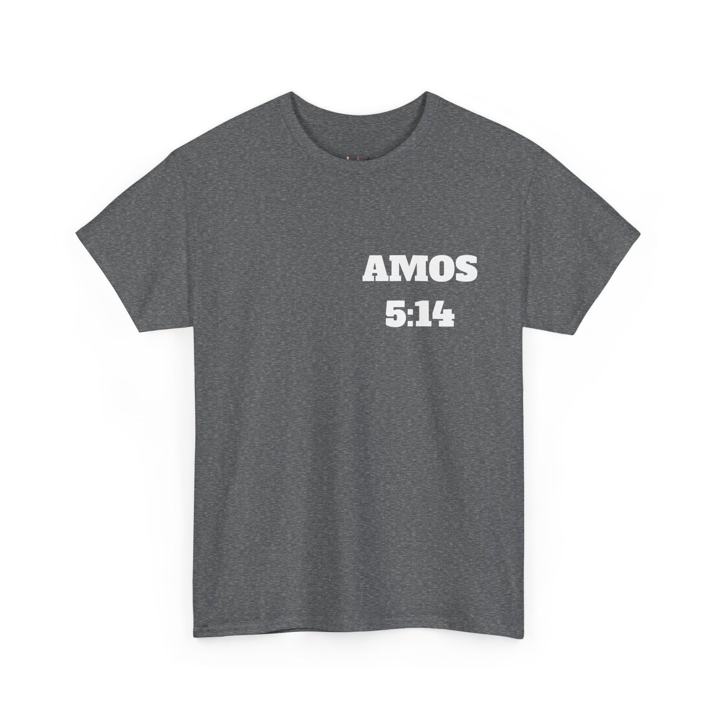 Amos 5:14 Christian T-Shirt, Christian Gifts, Christian Back To School Gifts, Trendy Christian Apparel