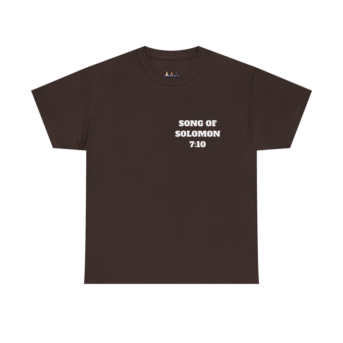 Song Of Solomon 7:10 Christian T-Shirt, Christian Gifts, Christian Back To School Gifts, Trendy Christian Apparel