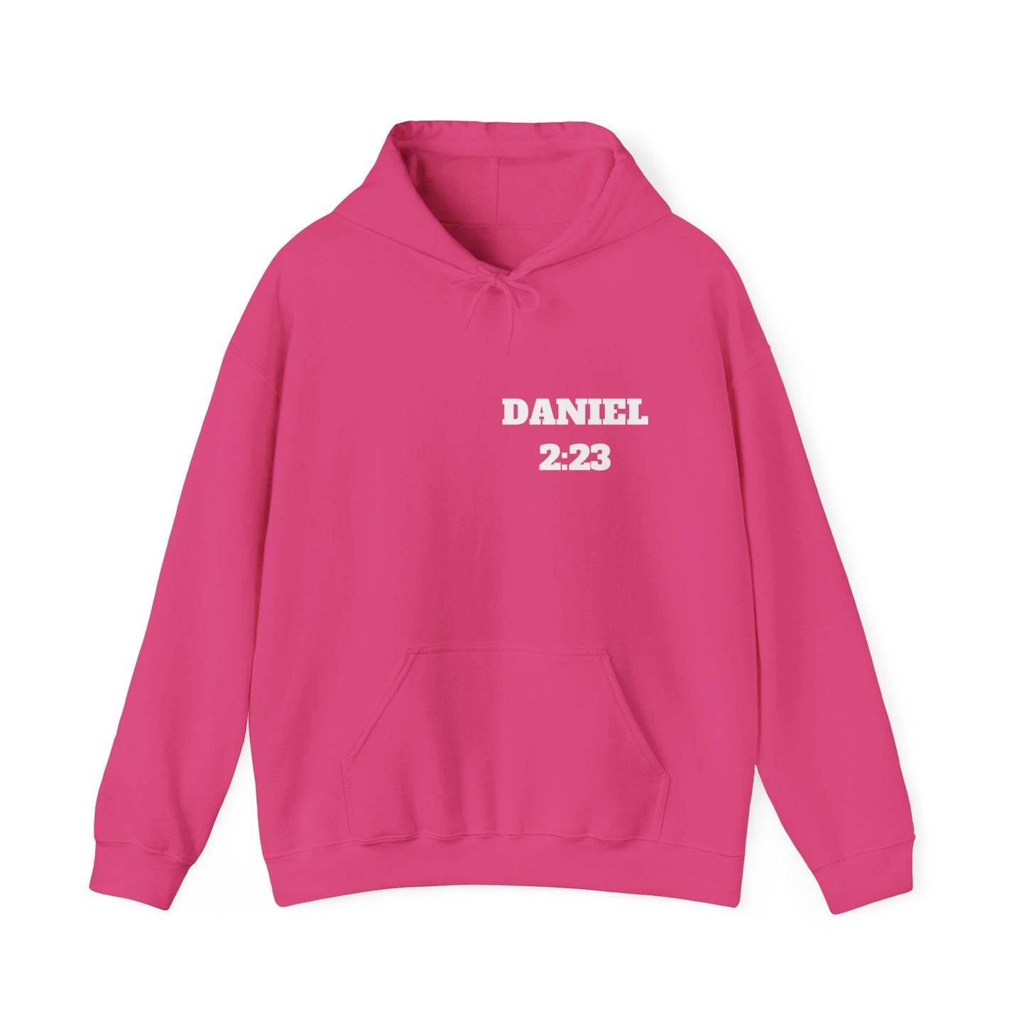 Daniel 2:23 Christian Hoodie, Christian Gifts, Christian Back To School Gifts, Trendy Christian Apparel