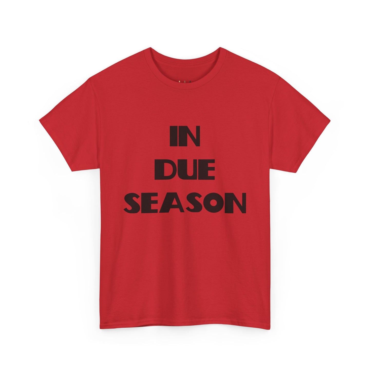 In Due Season Christian T-Shirt, Christian Quotes, Christian Gifts, Christian Back To School Clothes, Church Outfits