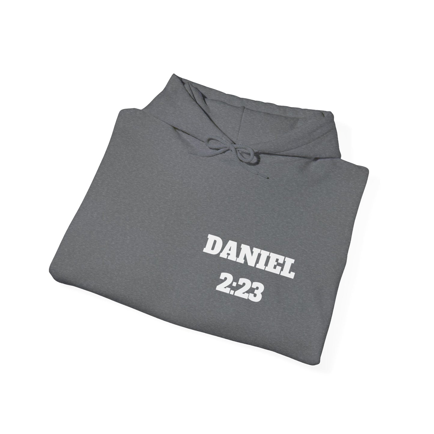Daniel 2:23 Christian Hoodie, Christian Gifts, Christian Back To School Gifts, Trendy Christian Apparel