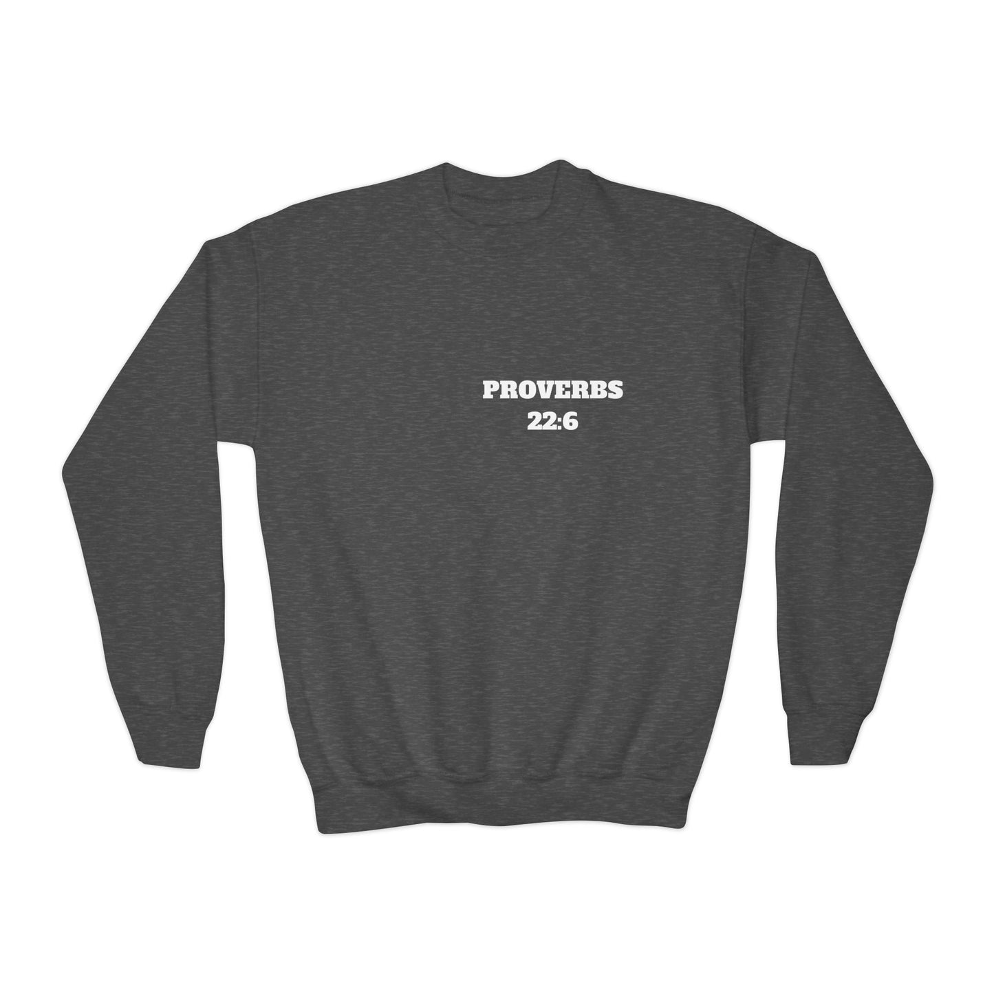 Proverbs 22:6 - Christian Kids Clothing, Kids Christian Shirt, Christian Sweatshirt, Christian Hoodie, Kids Church Shirts, Kids Bible Shirts