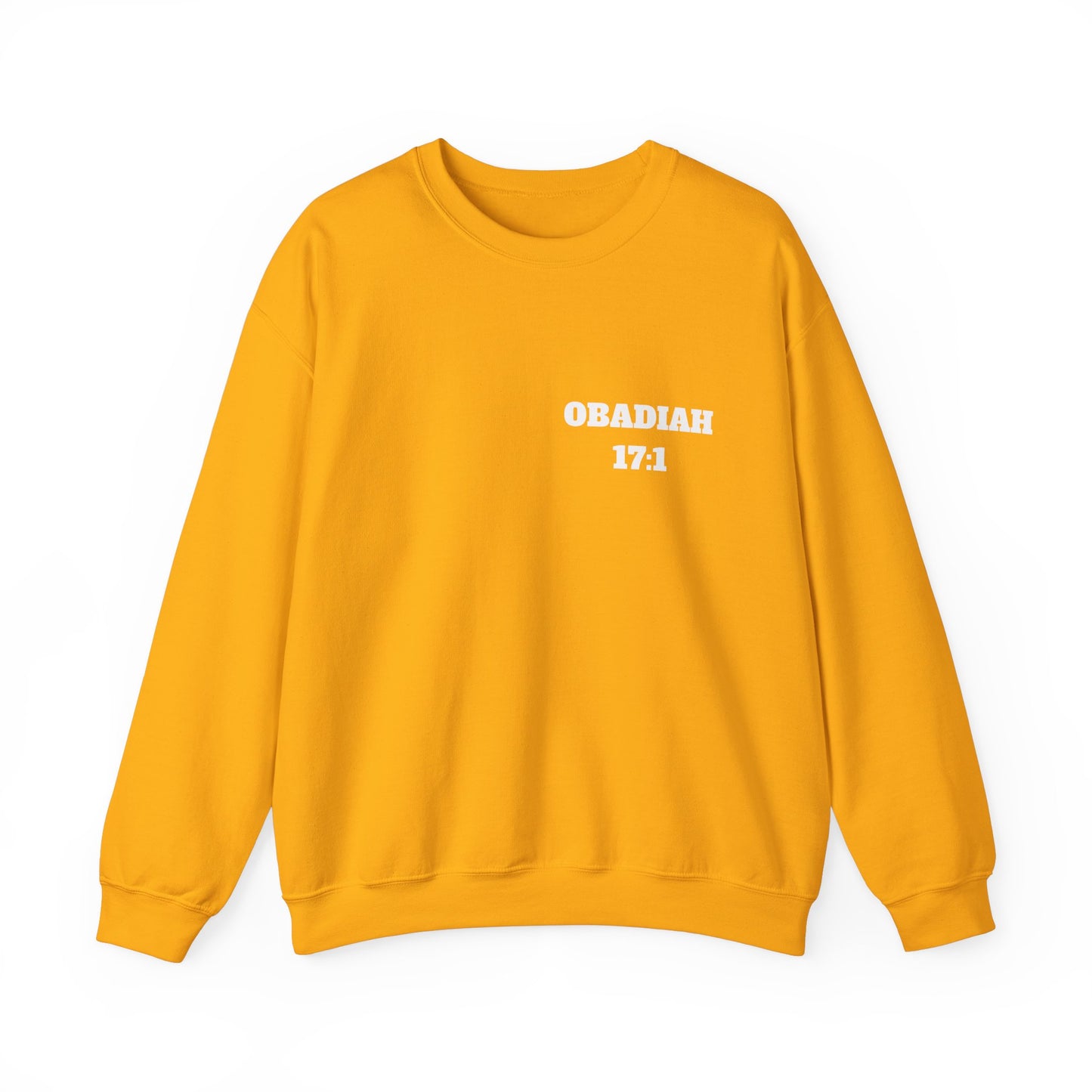 Obadiah 17:1 Christian Sweatshirt, Christian Gifts, Christian Back To School Gifts, Church Outfits