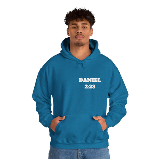 Daniel 2:23 Christian Hoodie, Christian Gifts, Christian Back To School Gifts, Trendy Christian Apparel