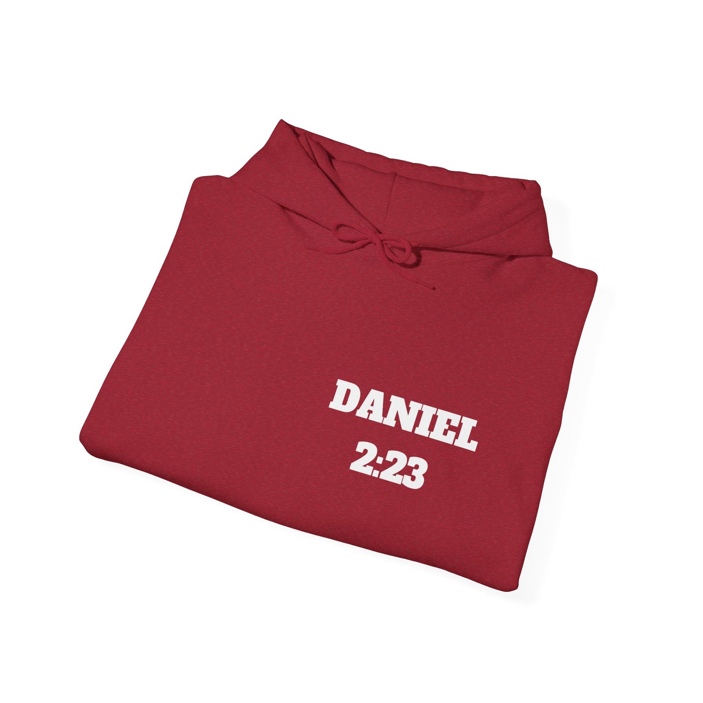 Daniel 2:23 Christian Hoodie, Christian Gifts, Christian Back To School Gifts, Trendy Christian Apparel