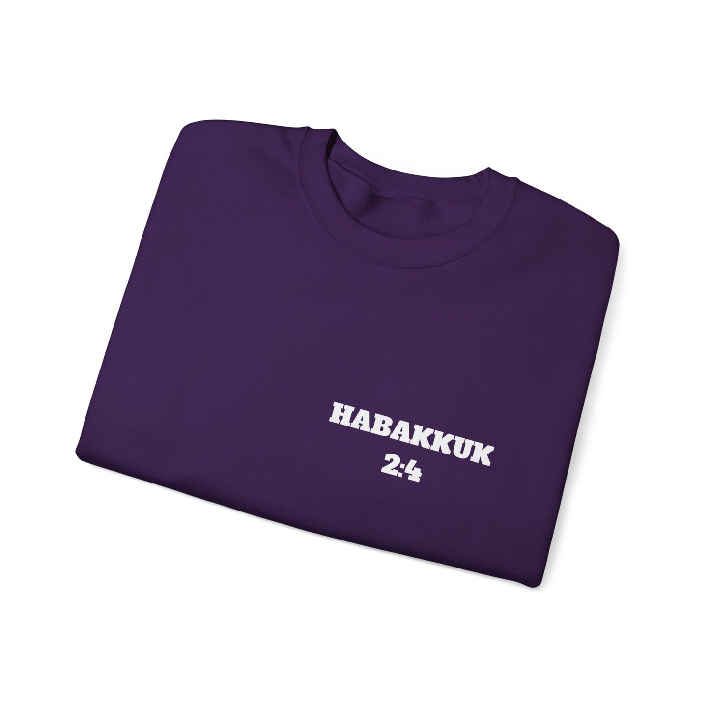 Habakkuk 2:4 Christian Sweatshirt, Christian Gifts, Christian Back To School Gifts, Church Outfits