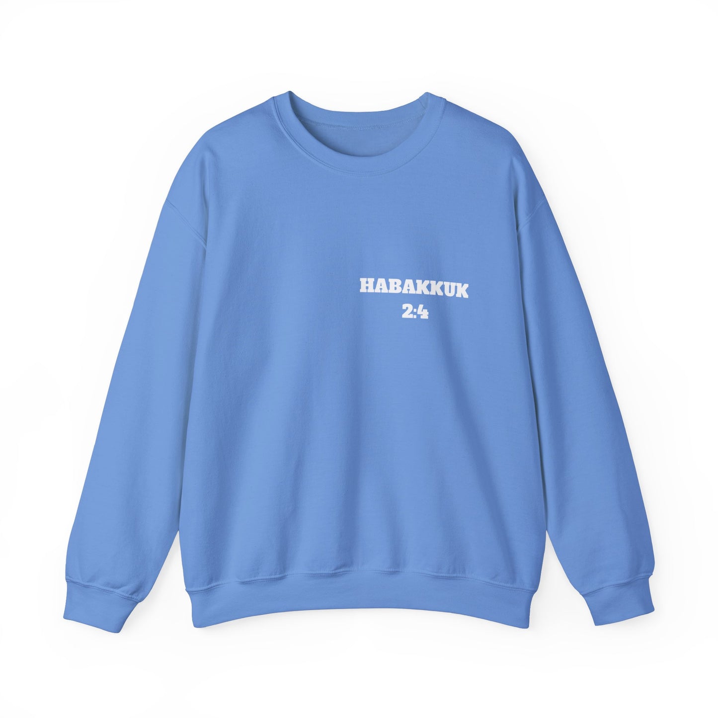 Habakkuk 2:4 Christian Sweatshirt, Christian Gifts, Christian Back To School Gifts, Church Outfits