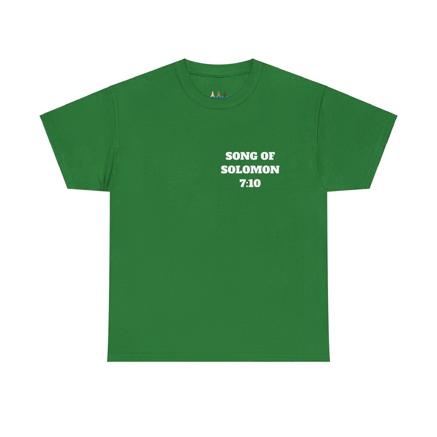 Song of Solomon Christian T-Shirt, Christian Gifts, Christian Back To School Gifts, Trendy Christian Apparel