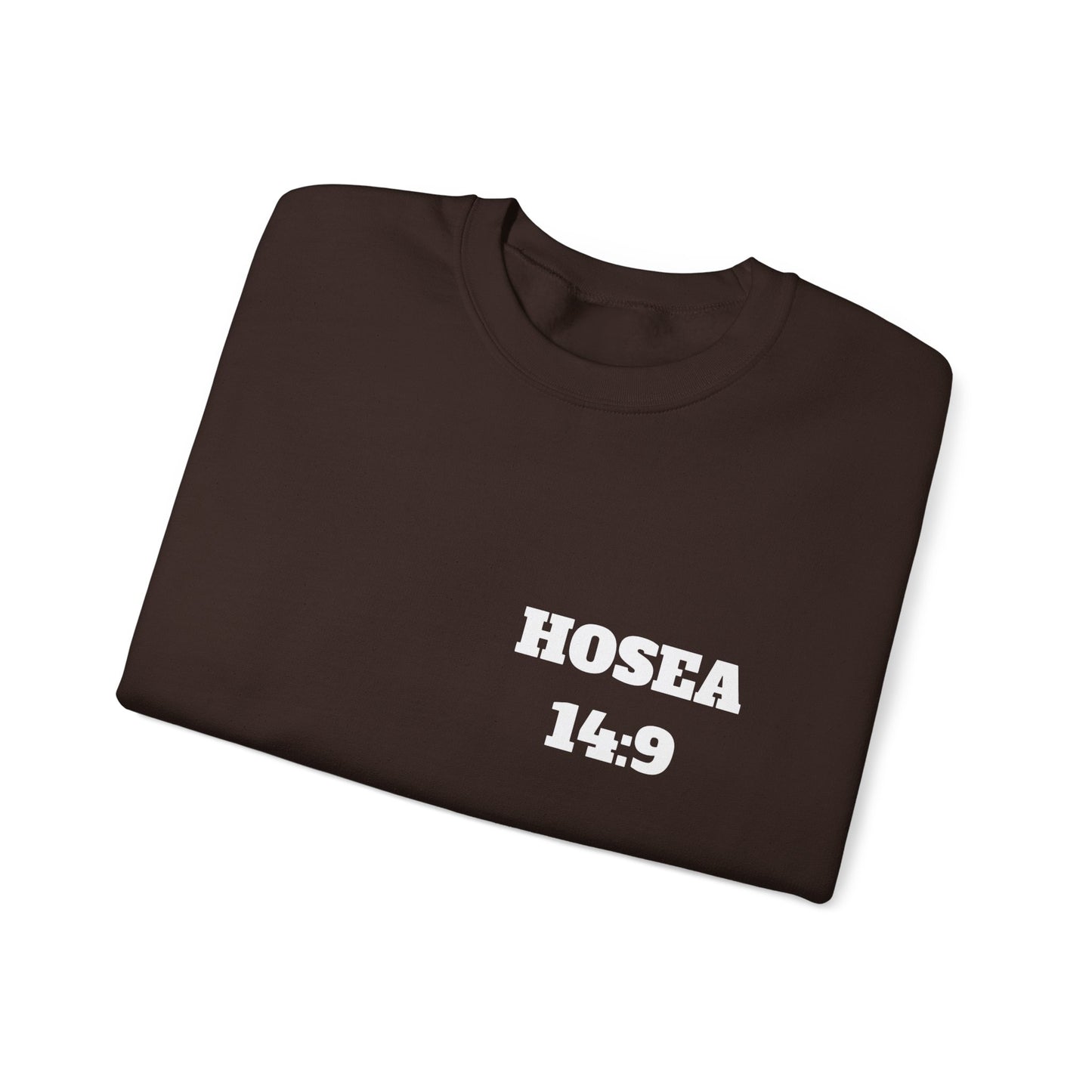 Hosea 14:9 Christian Sweatshirt, Christian Gifts, Christian Back To School Gifts, Church Outfits