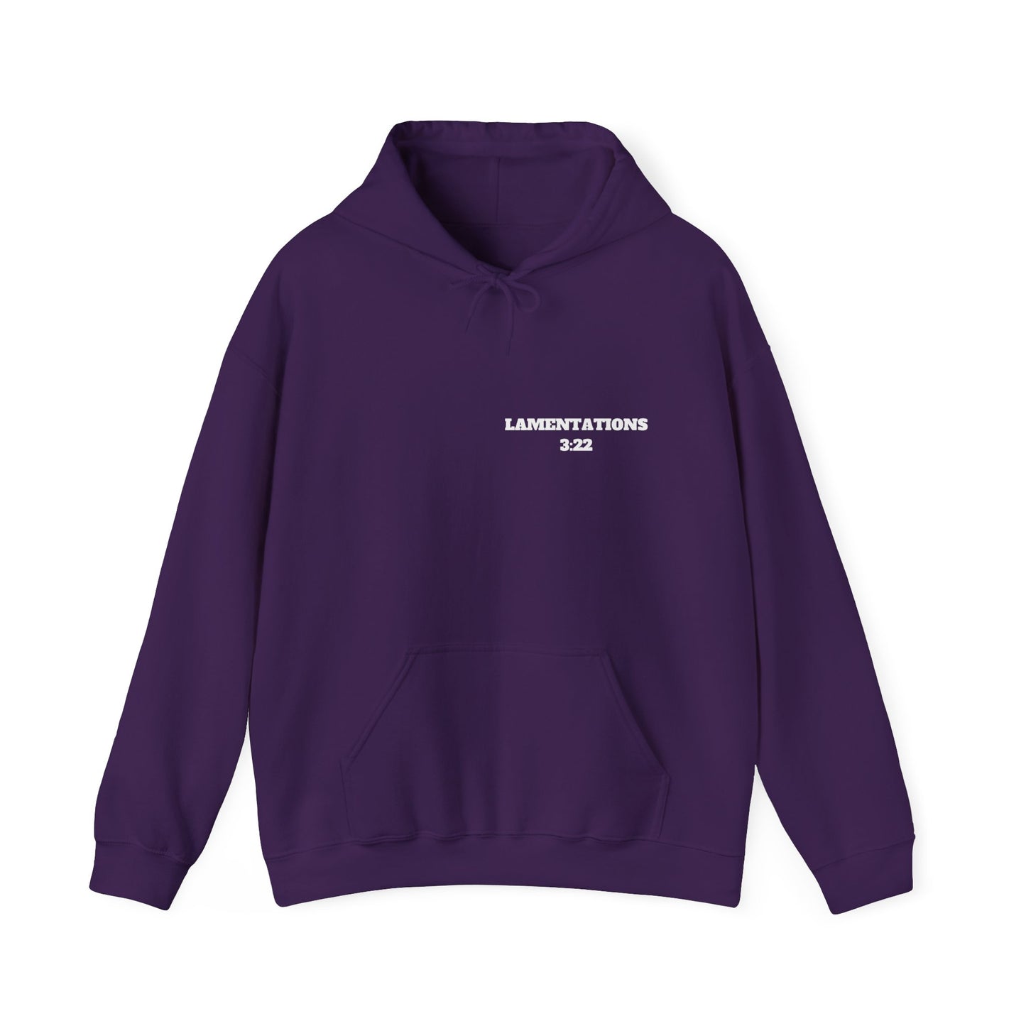 Lamentations 3:22 Christian Hoodie, Christian Gifts, Christian Back To School Gifts, Trendy Christian Apparel