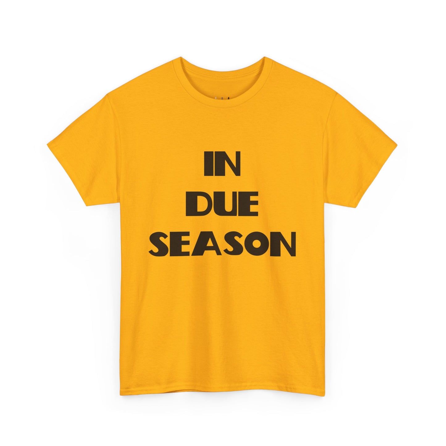 In Due Season Christian T-Shirt, Christian Quotes, Christian Gifts, Christian Back To School Clothes, Church Outfits