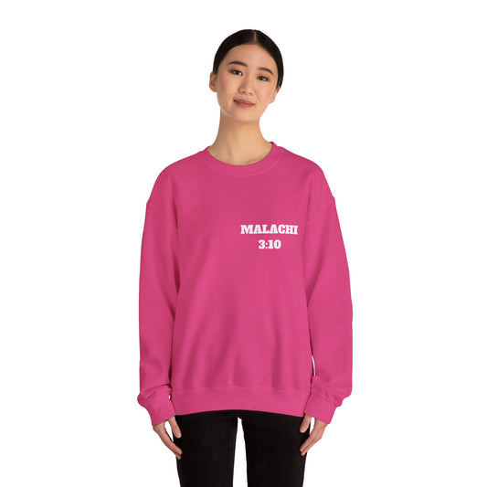 Malachi 3:10 Christian Sweatshirt, Christian Gifts, Christian Back To School Gifts, Church Outfits