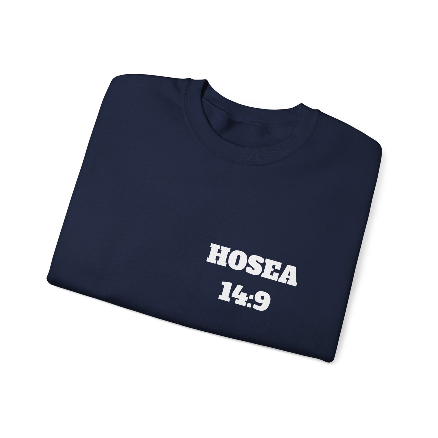 Hosea 14:9 Christian Sweatshirt, Christian Gifts, Christian Back To School Gifts, Church Outfits