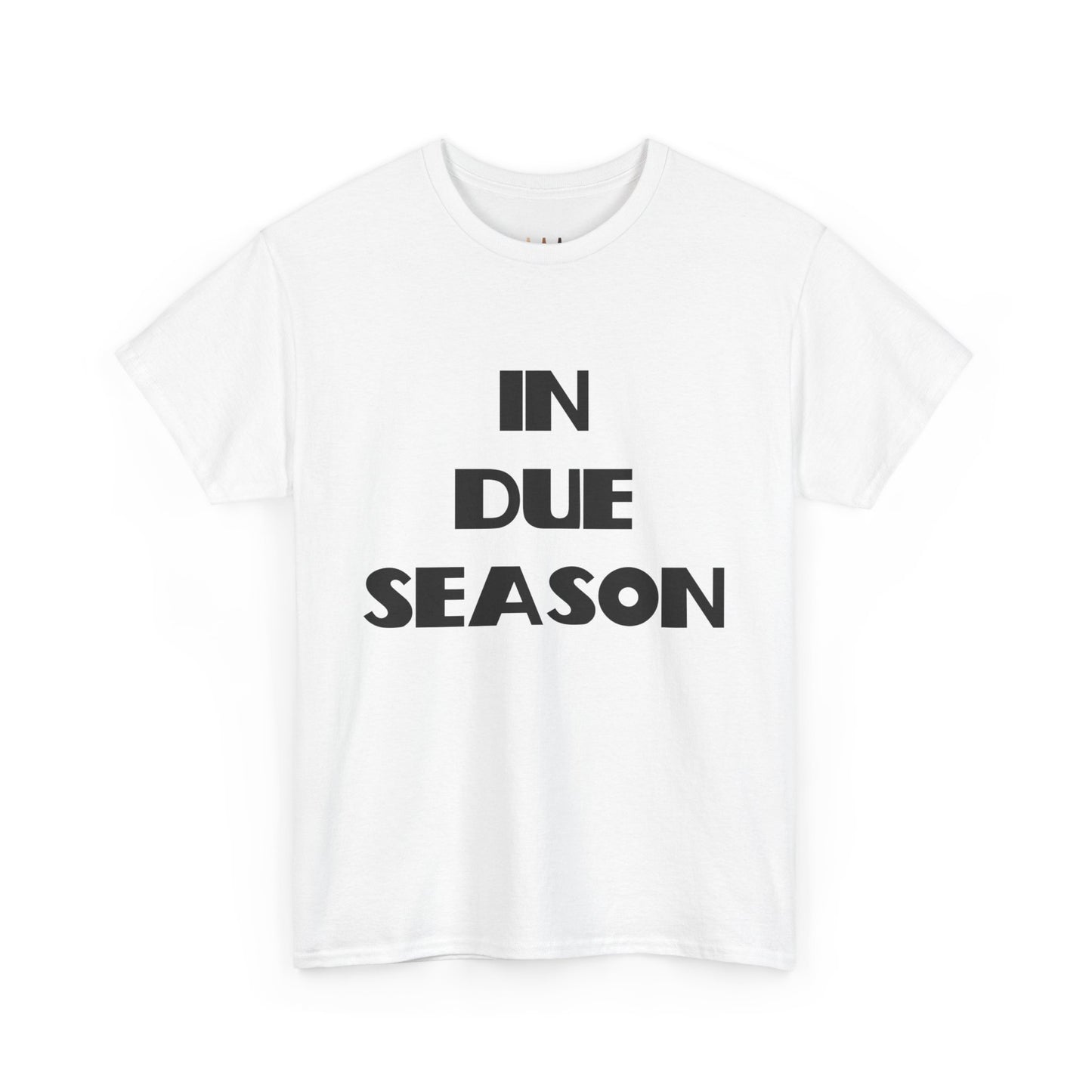 In Due Season Christian T-Shirt, Christian Quotes, Christian Gifts, Christian Back To School Clothes, Church Outfits