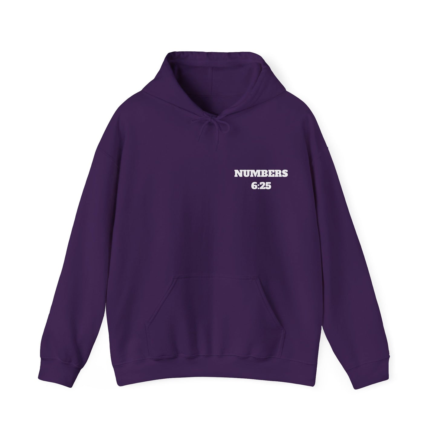 Numbers 6:25 Christian Hoodie, Christian Gifts, Christian Back To School Gifts, Trendy Christian Apparel