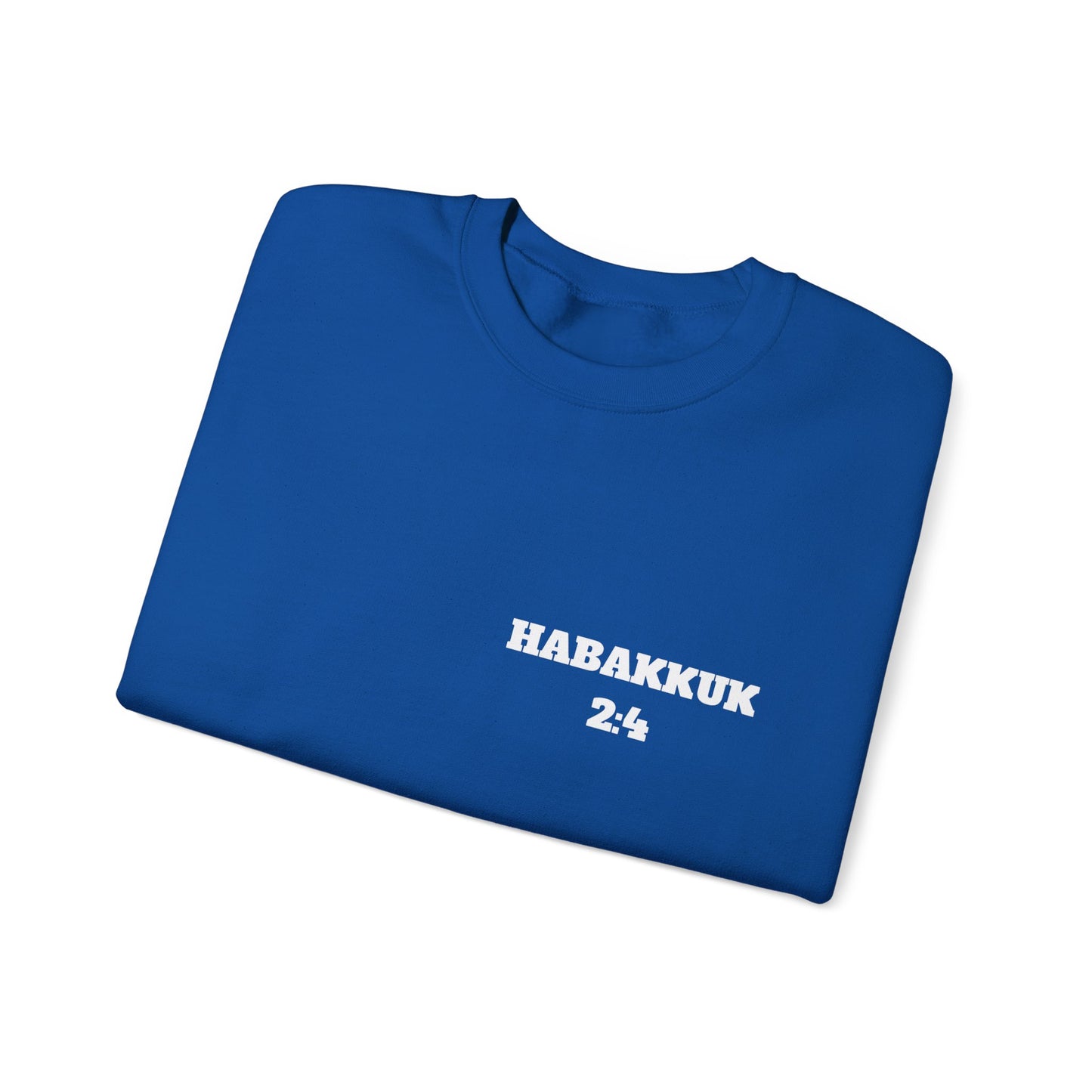 Habakkuk 2:4 Christian Sweatshirt, Christian Gifts, Christian Back To School Gifts, Church Outfits