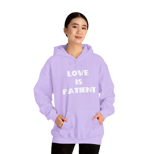 Love is Patient Christian Hoodie, Christian Gifts, Christian Back To School Gifts, Trendy Christian Apparel