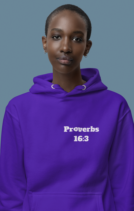 Proverbs 16:3 Christian Hoodie, Christian Gifts, Christian Back To School Gifts, Trendy Christian Apparel