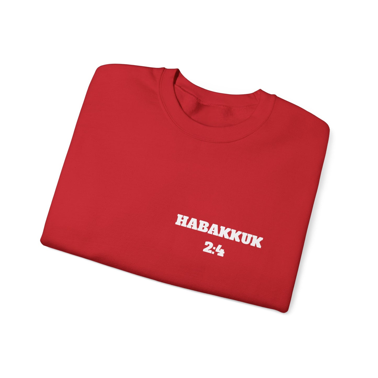 Habakkuk 2:4 Christian Sweatshirt, Christian Gifts, Christian Back To School Gifts, Church Outfits