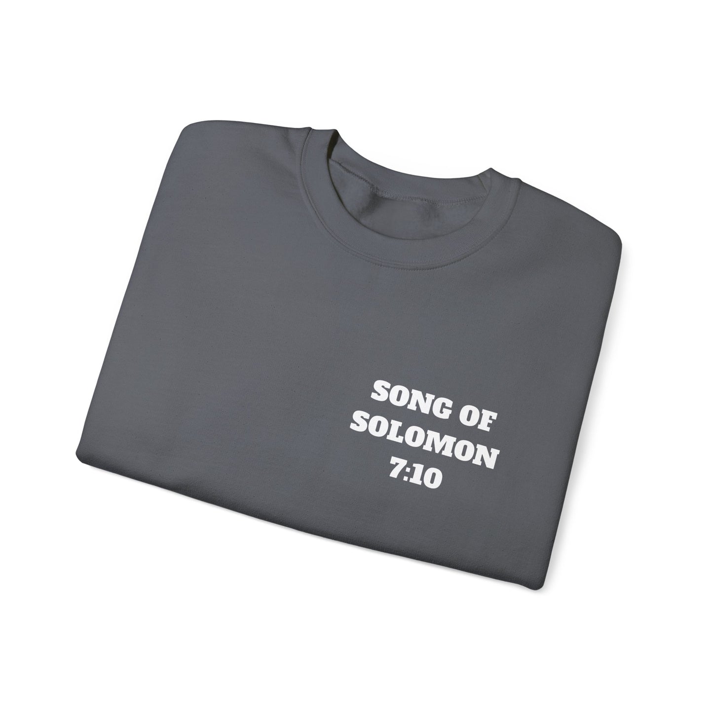 Song Of Solomon Christian Sweatshirt, Christian Gifts, Christian Back To School Gifts, Church Outfits