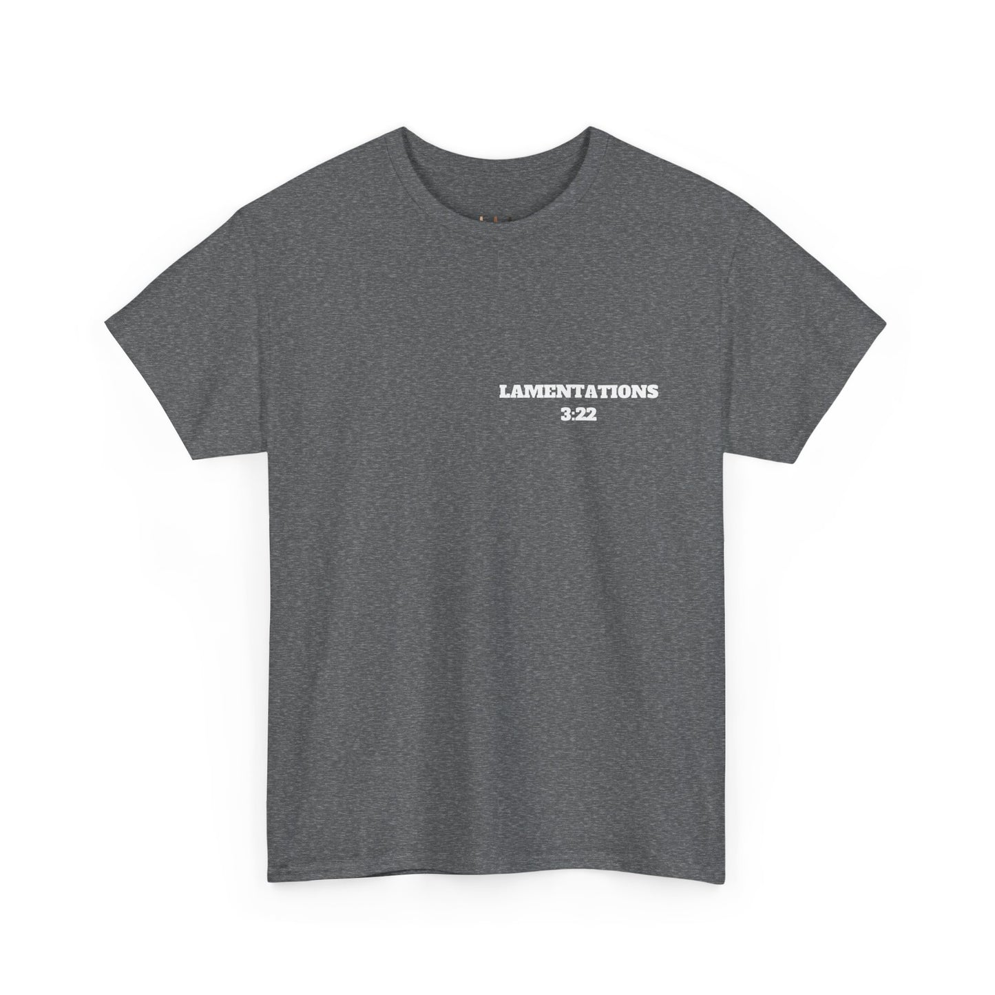 Lamentations 3:22 Christian T-Shirt, Christian Gifts, Christian Back To School Gifts, Trendy Christian Apparel