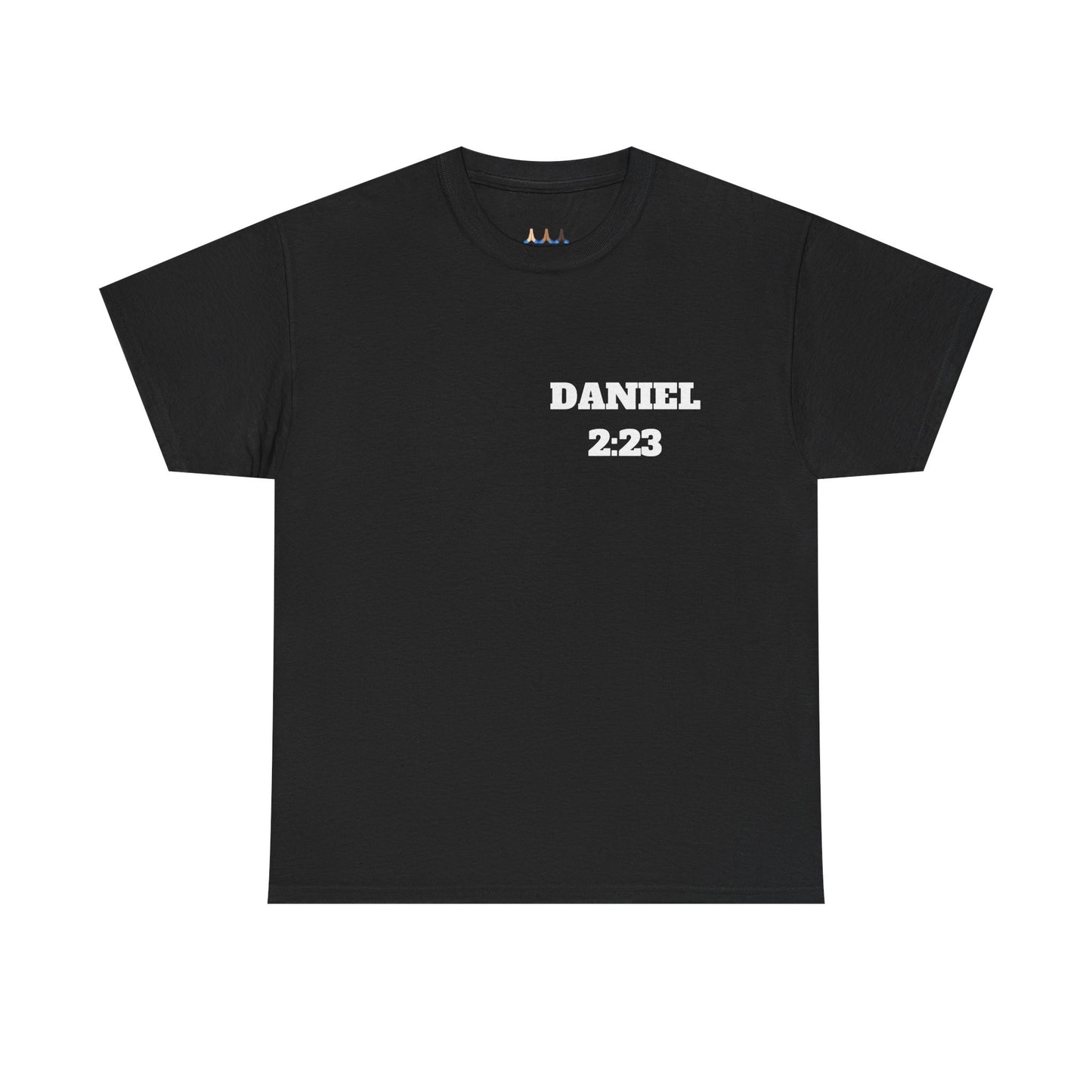 Daniel 2:23 Christian T-Shirt, Christian Gifts, Christian Back To School Gifts, Trendy Christian Apparel