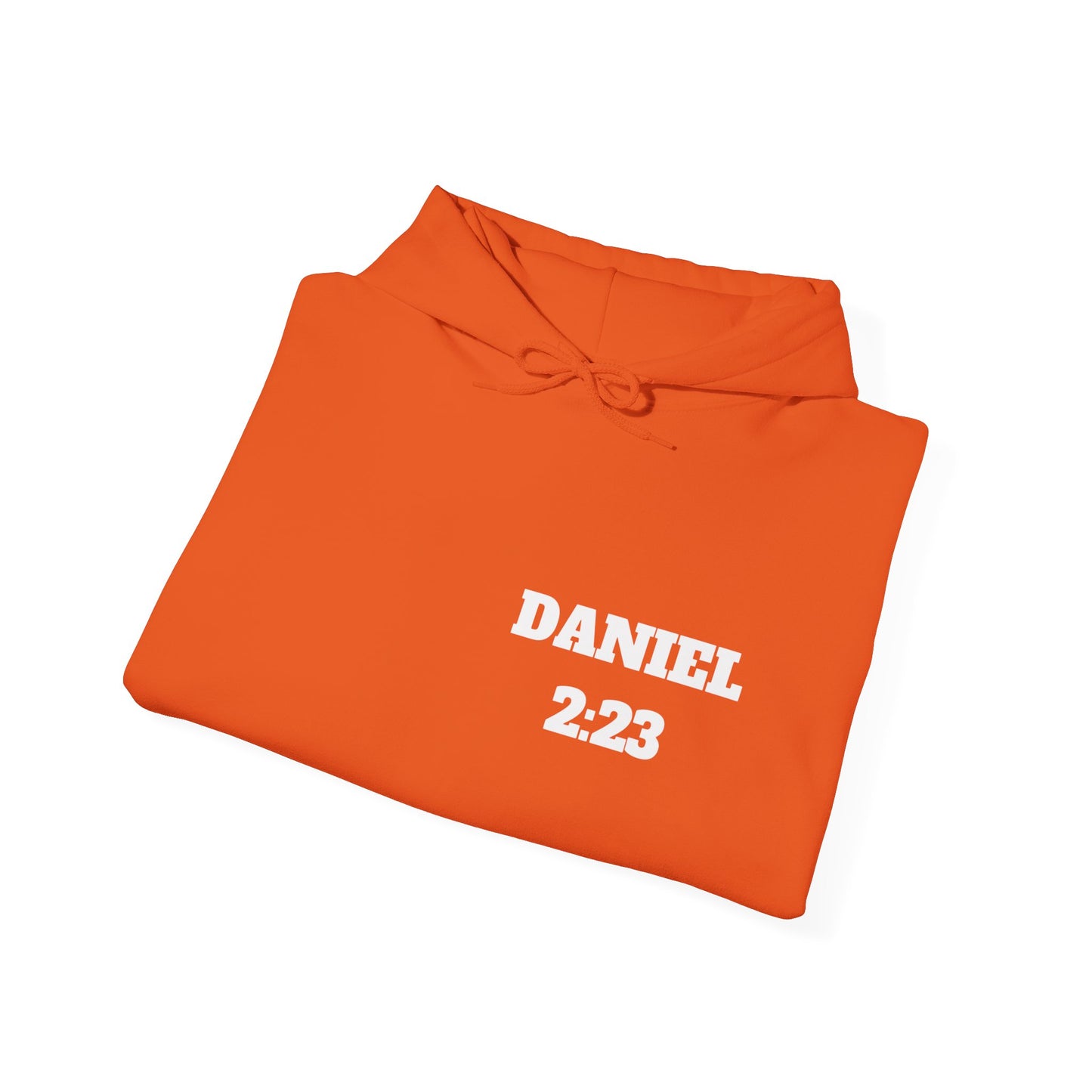Daniel 2:23 Christian Hoodie, Christian Gifts, Christian Back To School Gifts, Trendy Christian Apparel