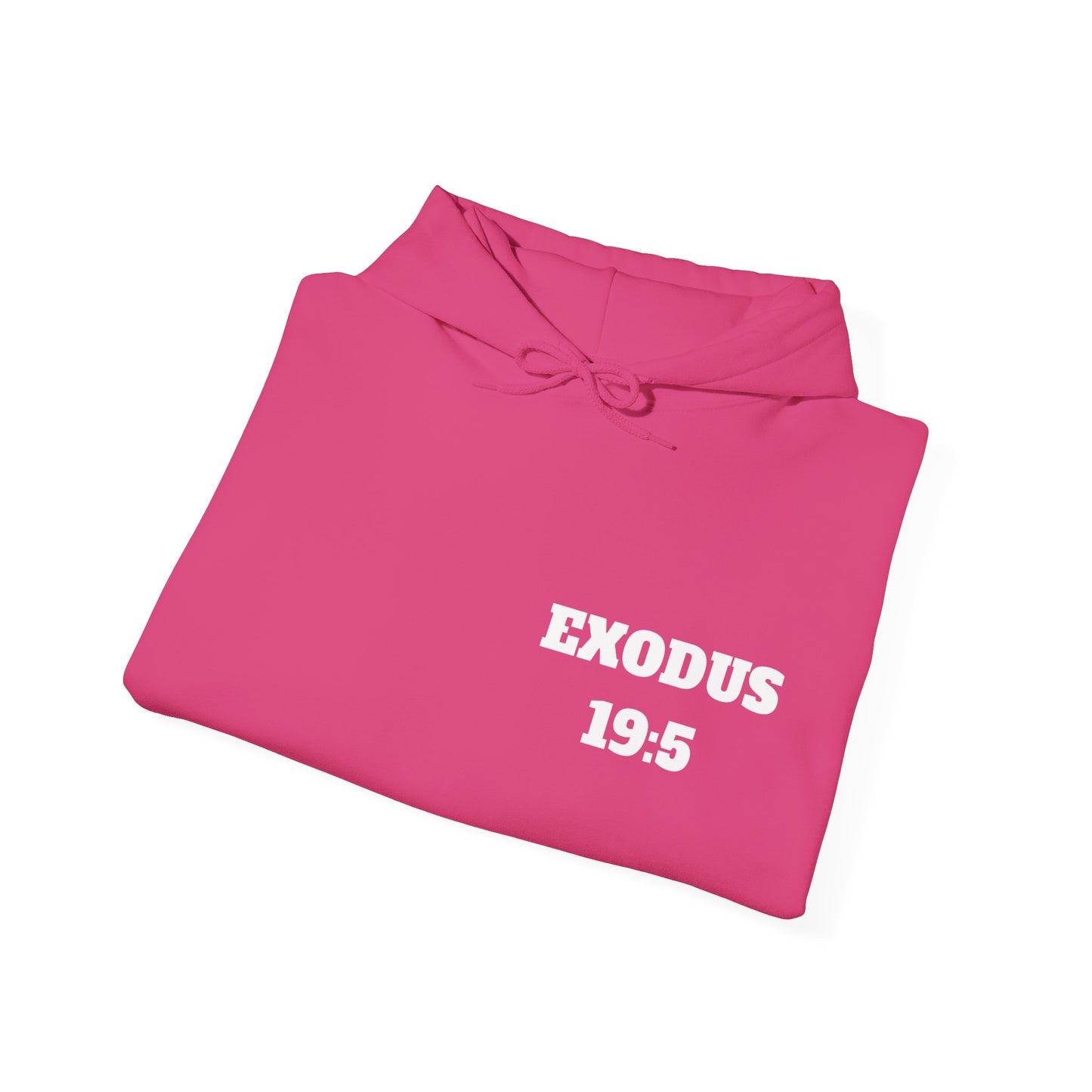 Exodus 19:5 Christian Hoodie, Christian Gifts, Christian Back To School Gifts, Trendy Christian Apparel