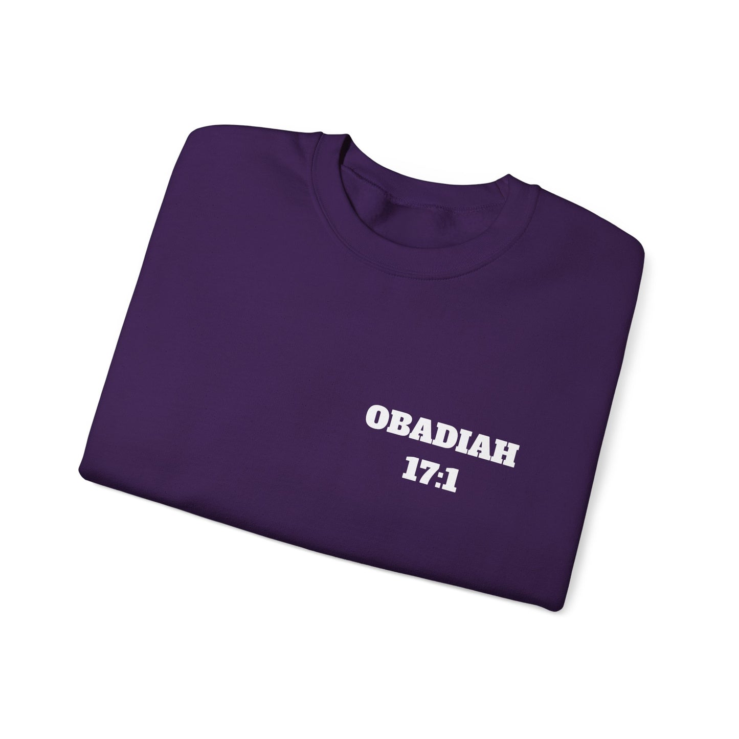 Obadiah 17:1 Christian Sweatshirt, Christian Gifts, Christian Back To School Gifts, Church Outfits