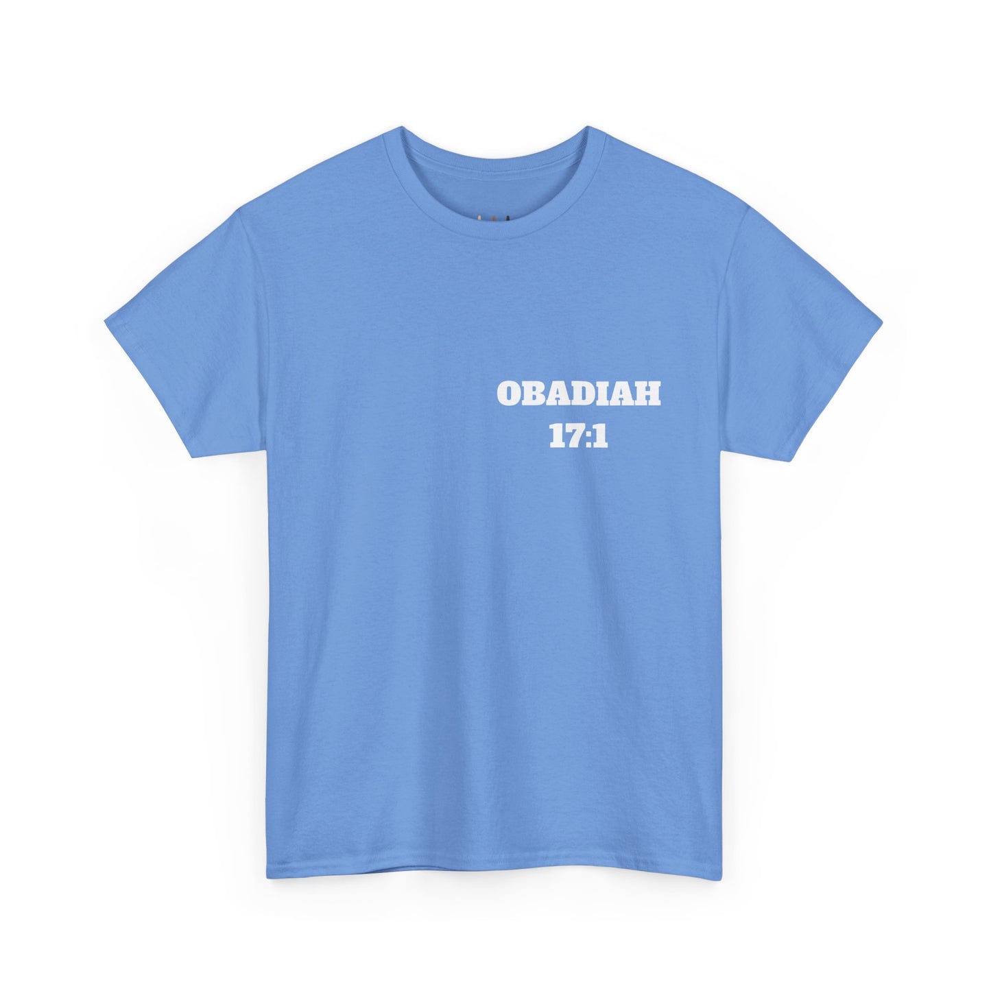 Obadiah 17:1 Christian T-Shirt, Christian Gifts, Christian Back To School Gifts, Trendy Christian Apparel