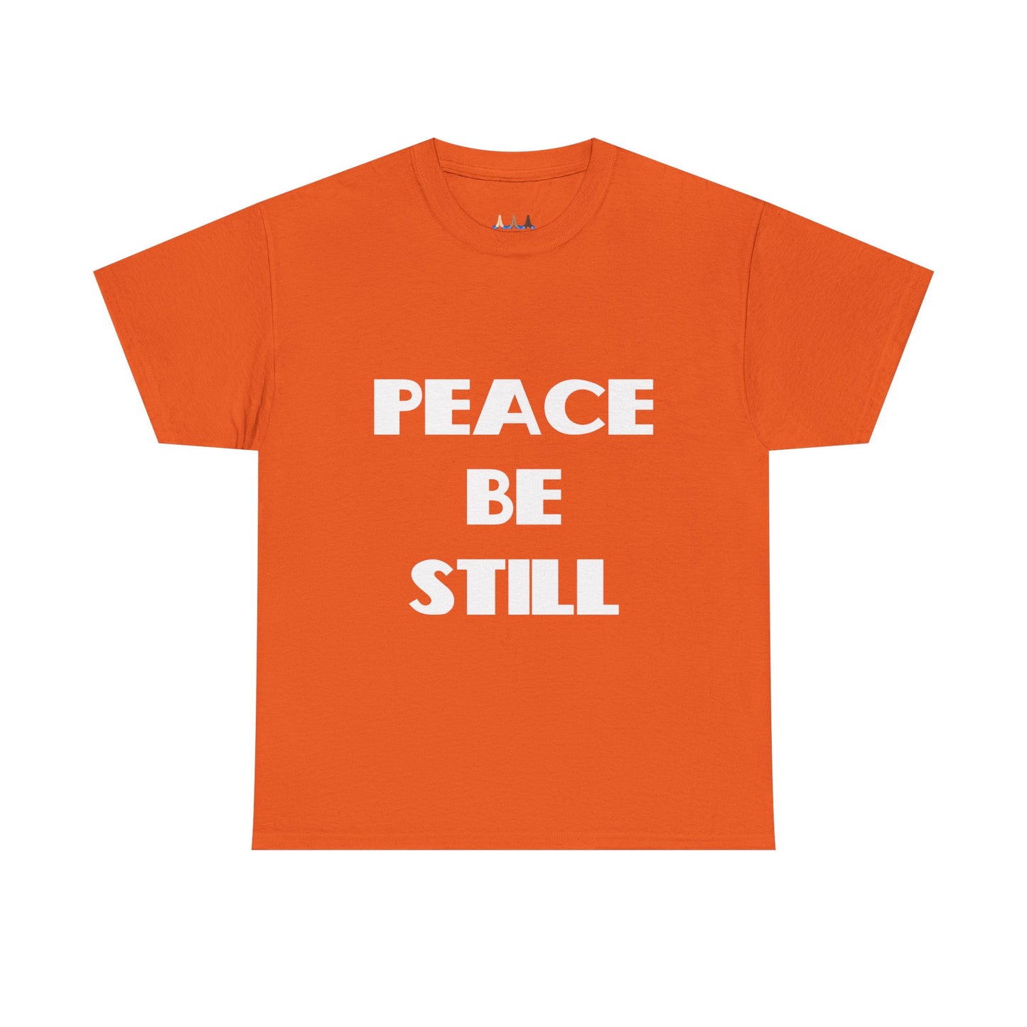 Peace Be Still Christian T-Shirt, Christian Gifts, Christian Back To School Gifts, Trendy Christian Apparel