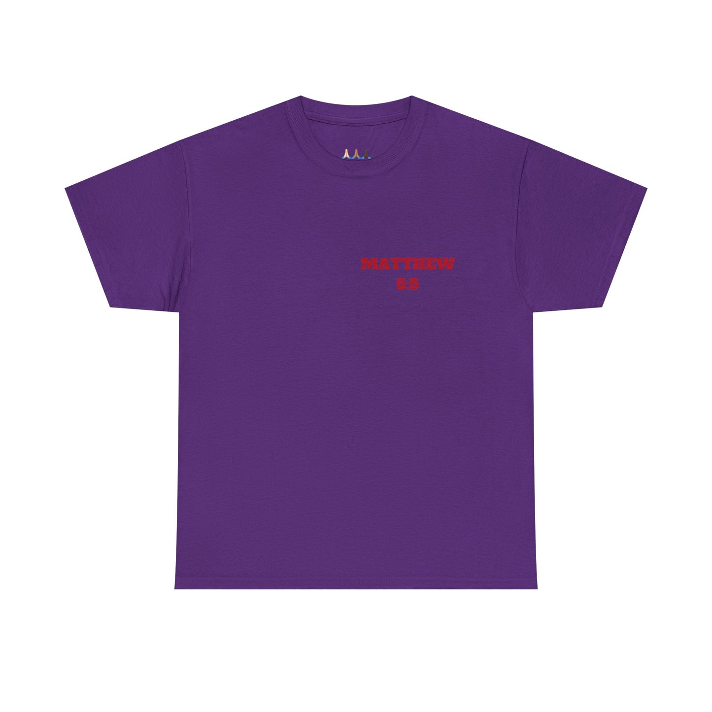 Matthew 5:5 Christian T-Shirt, Christian Gifts, Christian Back To School Clothes, Church Outfits