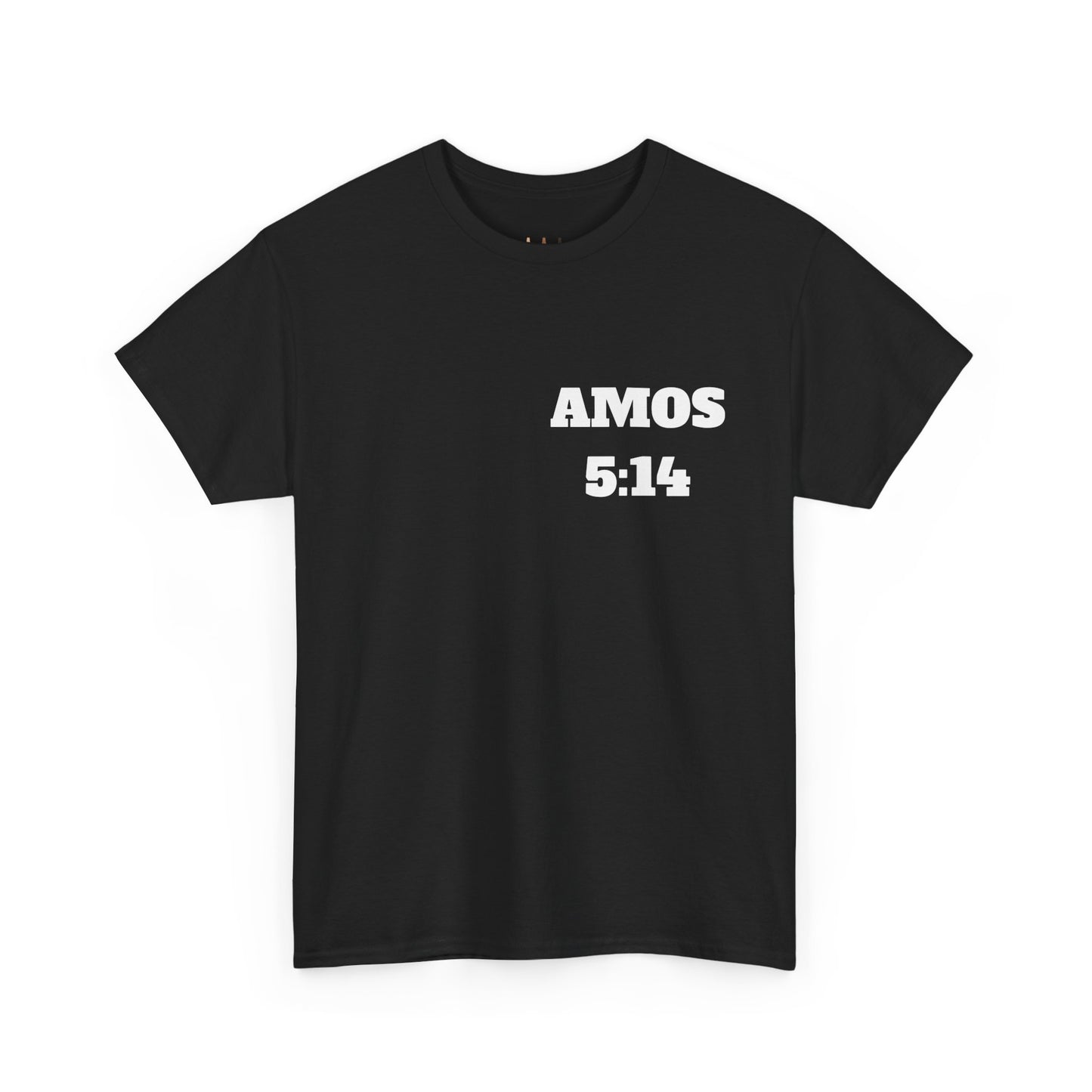 Amos 5:14 Christian T-Shirt, Christian Gifts, Christian Back To School Gifts, Trendy Christian Apparel