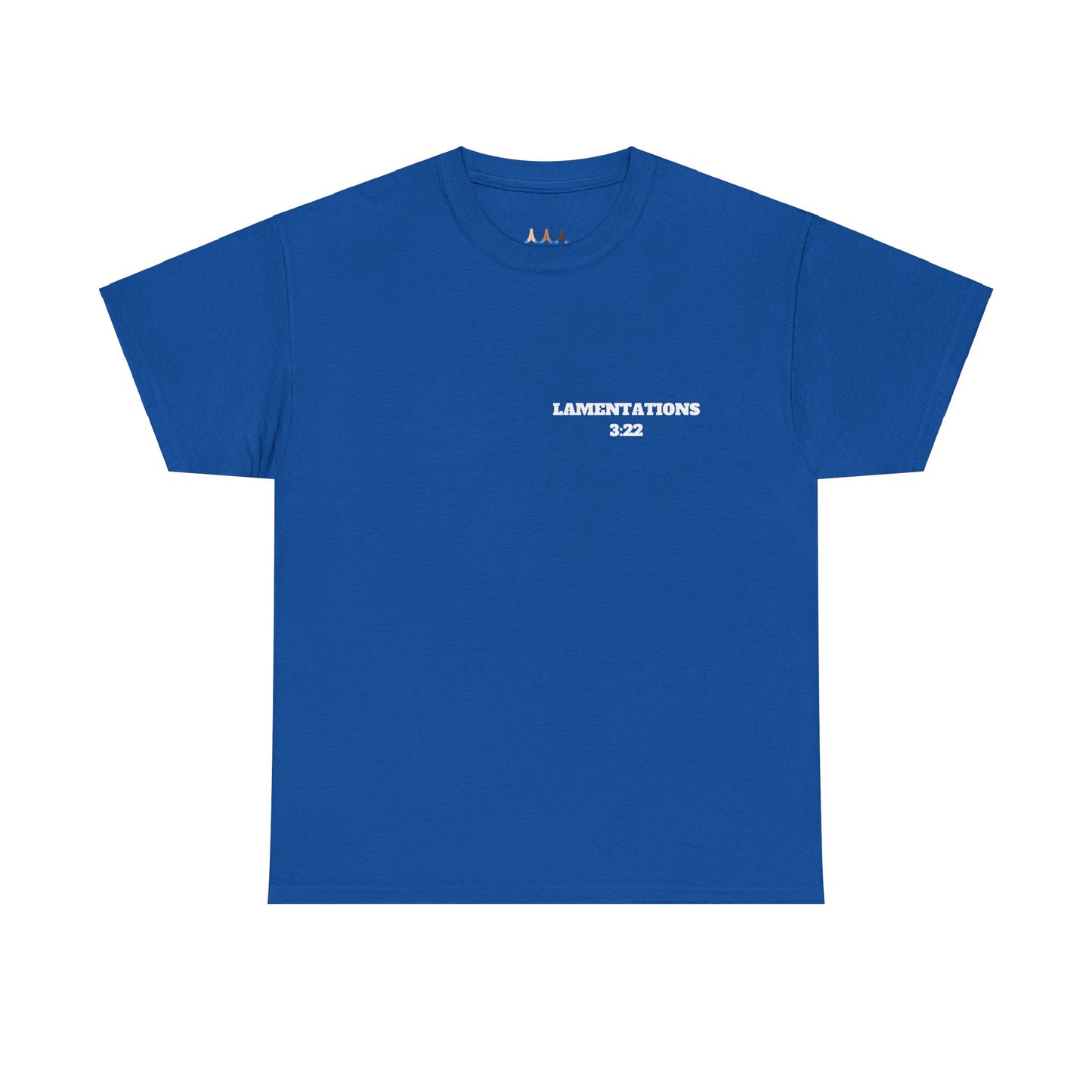 Lamentations 3:22 Christian T-Shirt, Christian Gifts, Christian Back To School Gifts, Trendy Christian Apparel