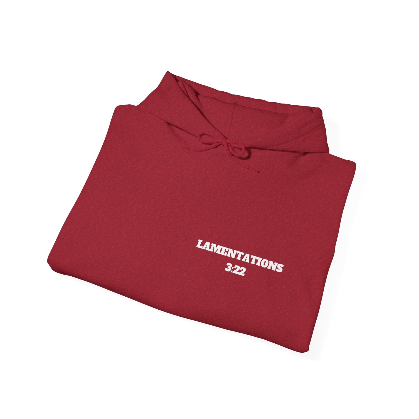 Lamentations 3:22 Christian Hoodie, Christian Gifts, Christian Back To School Gifts, Trendy Christian Apparel