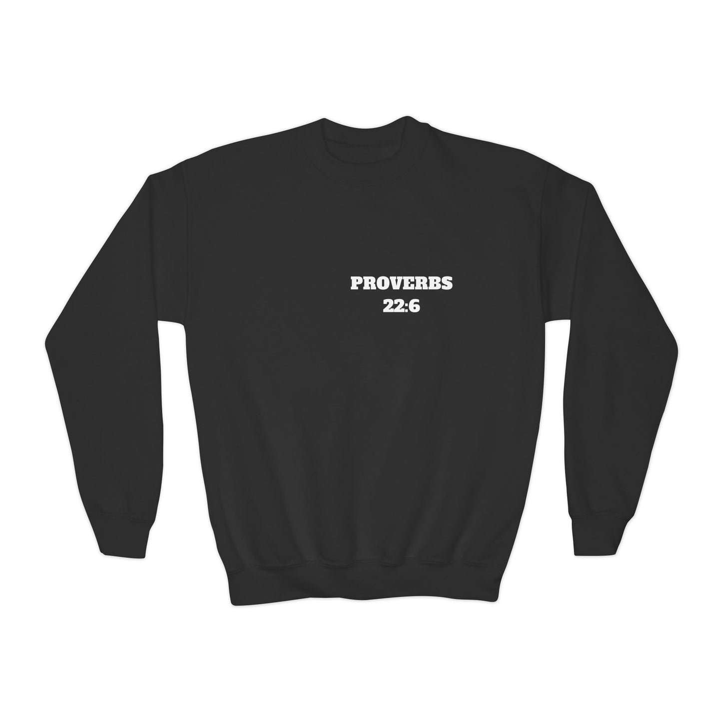 Proverbs 22:6 - Christian Kids Clothing, Kids Christian Shirt, Christian Sweatshirt, Christian Hoodie, Kids Church Shirts, Kids Bible Shirts