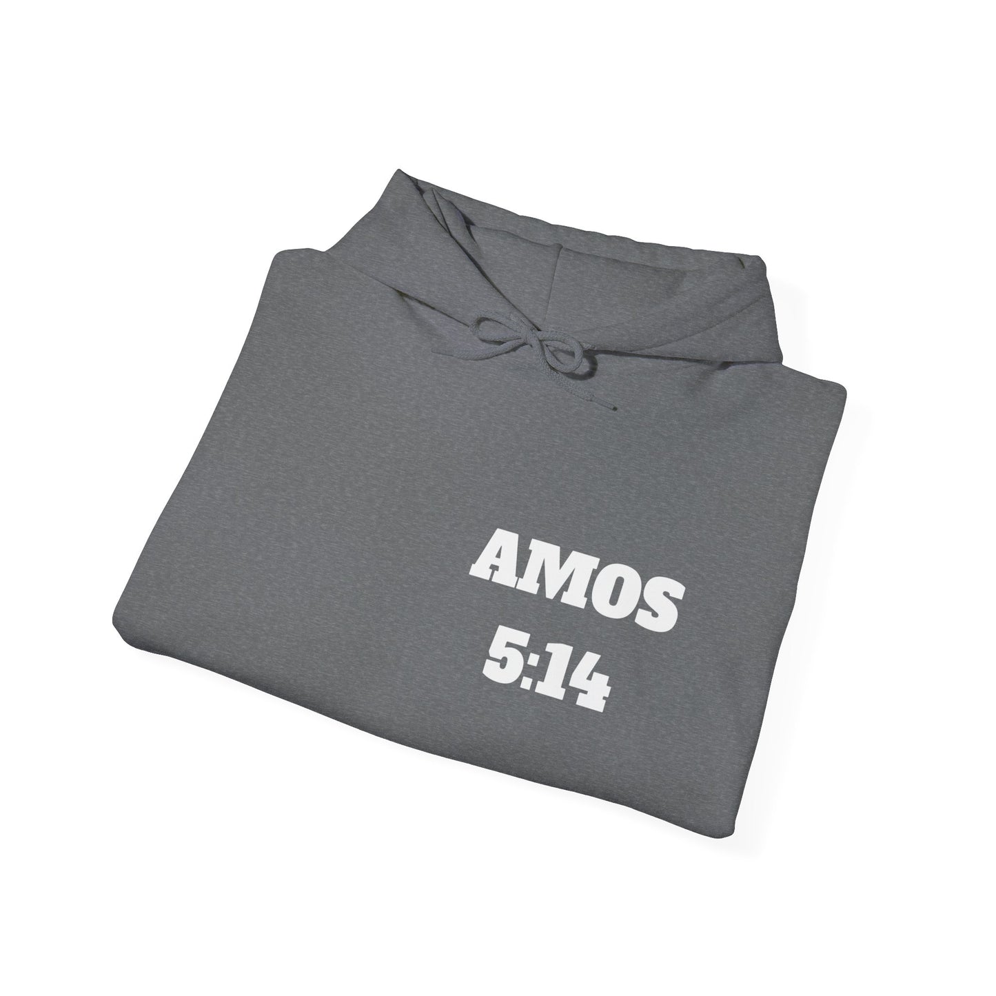 Amos 5:14 Christian T-Shirt, Christian Gifts, Christian Back To School Gifts, Trendy Christian Apparel