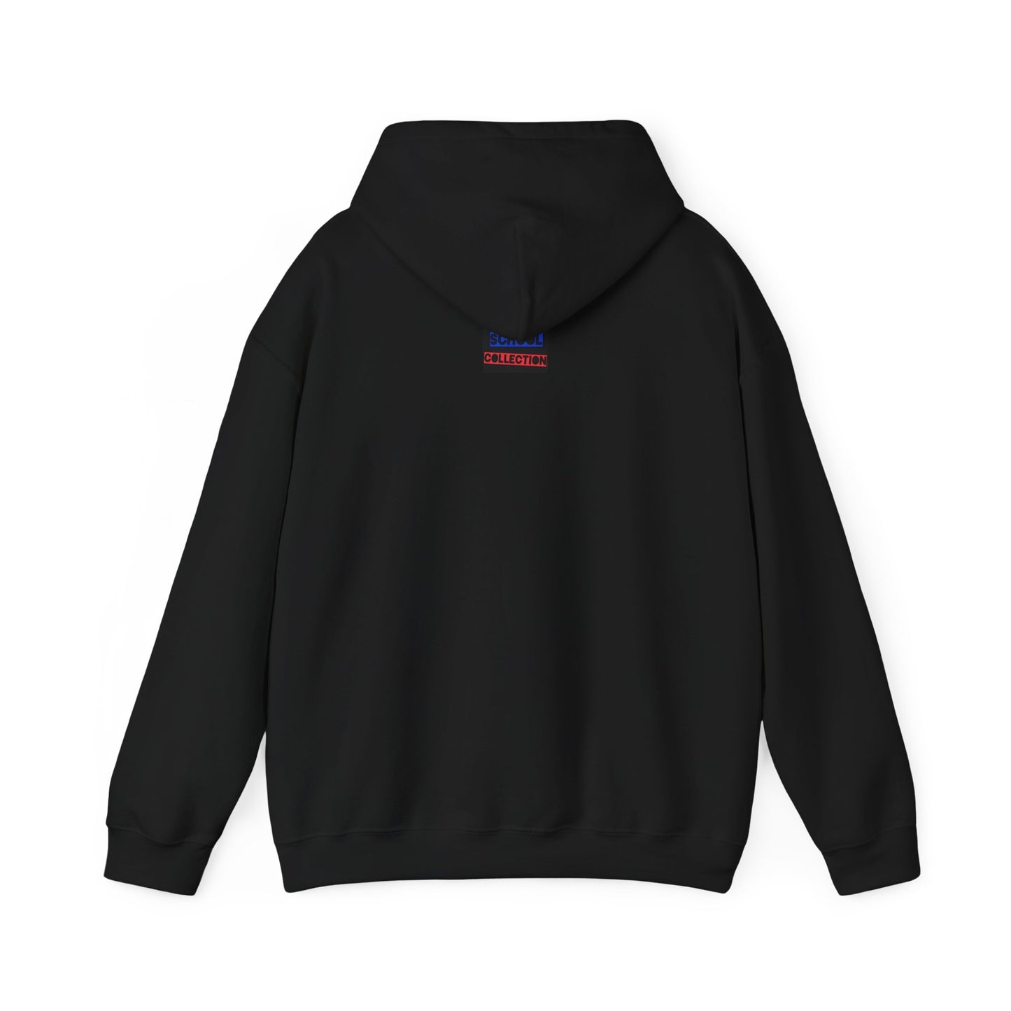 1 Samuel 17:47 Christian Hoodie, Christian Gifts, Christian Back To School Gifts, Trendy Christian Apparel